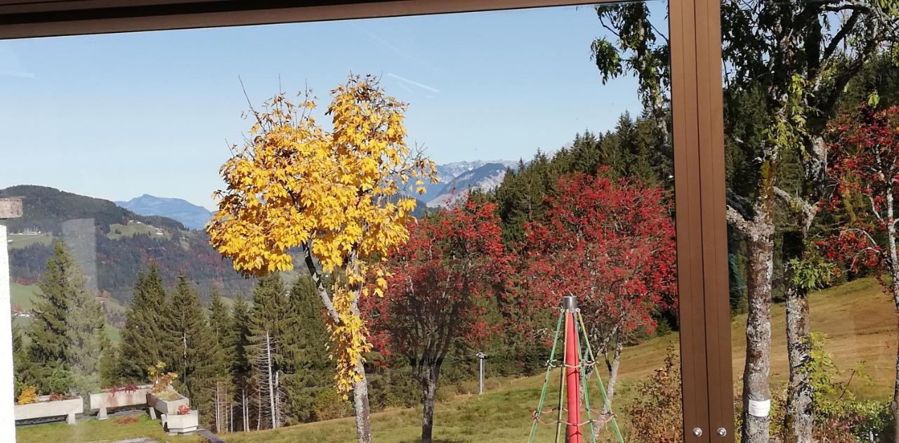 Berghaus Koglmoos Hotell Auffach Exteriör bild