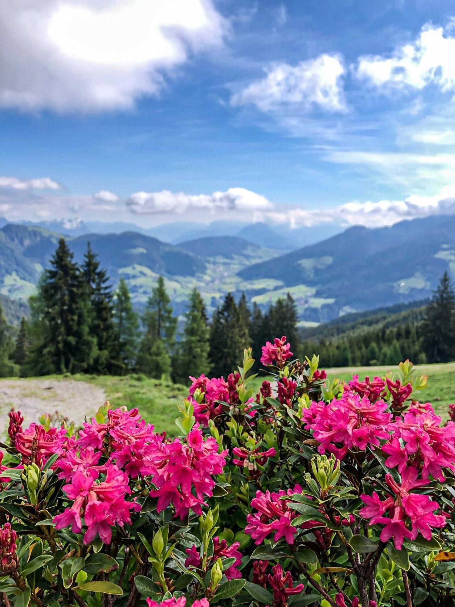 Berghaus Koglmoos Hotell Auffach Exteriör bild