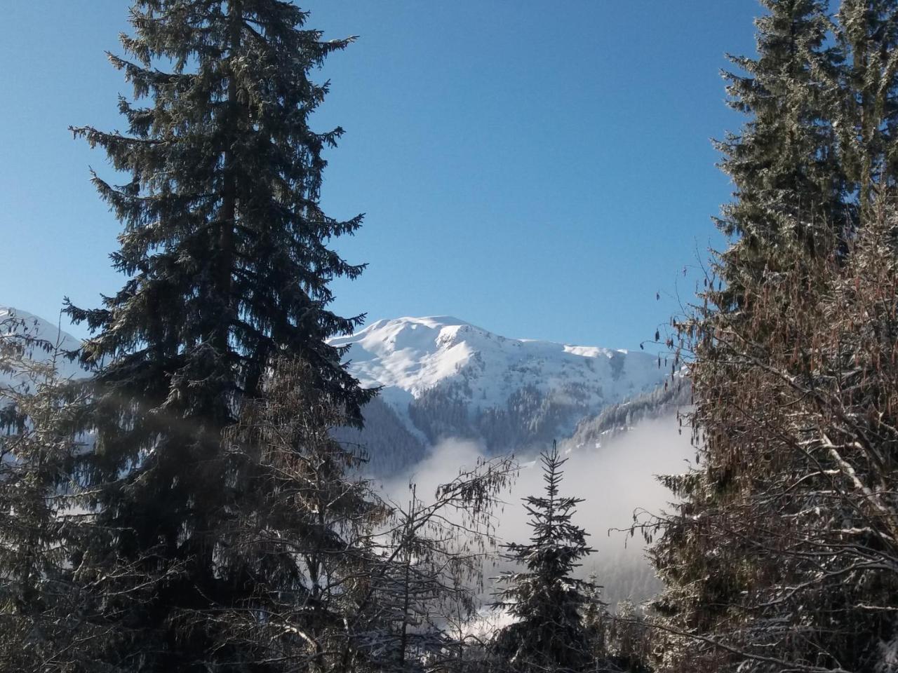 Berghaus Koglmoos Hotell Auffach Exteriör bild